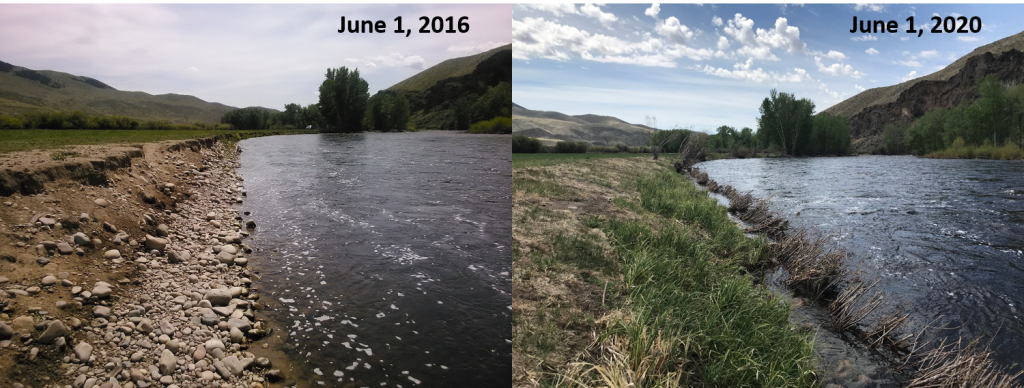 Weststeyn Bank Restoration, before and after.